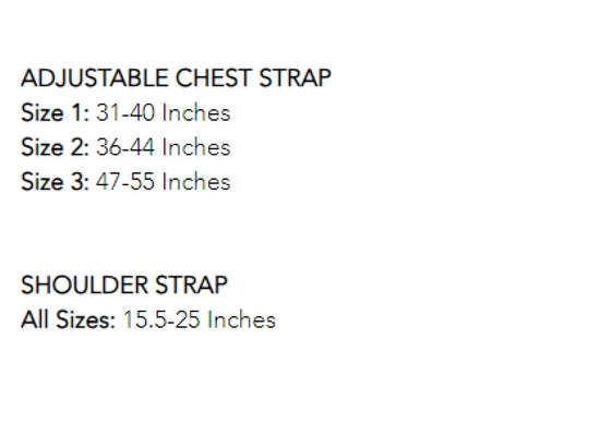 Adult Baby Leather Harness and Reins Set